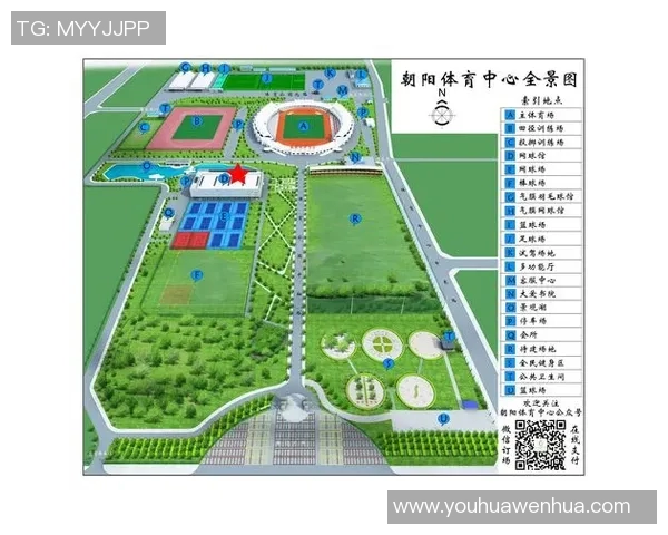 杭州羽毛球队转型之路的挑战与机遇全景探讨
